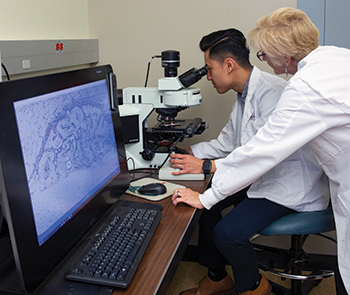a female researcher mentors a male trainee as he looks through a microscope